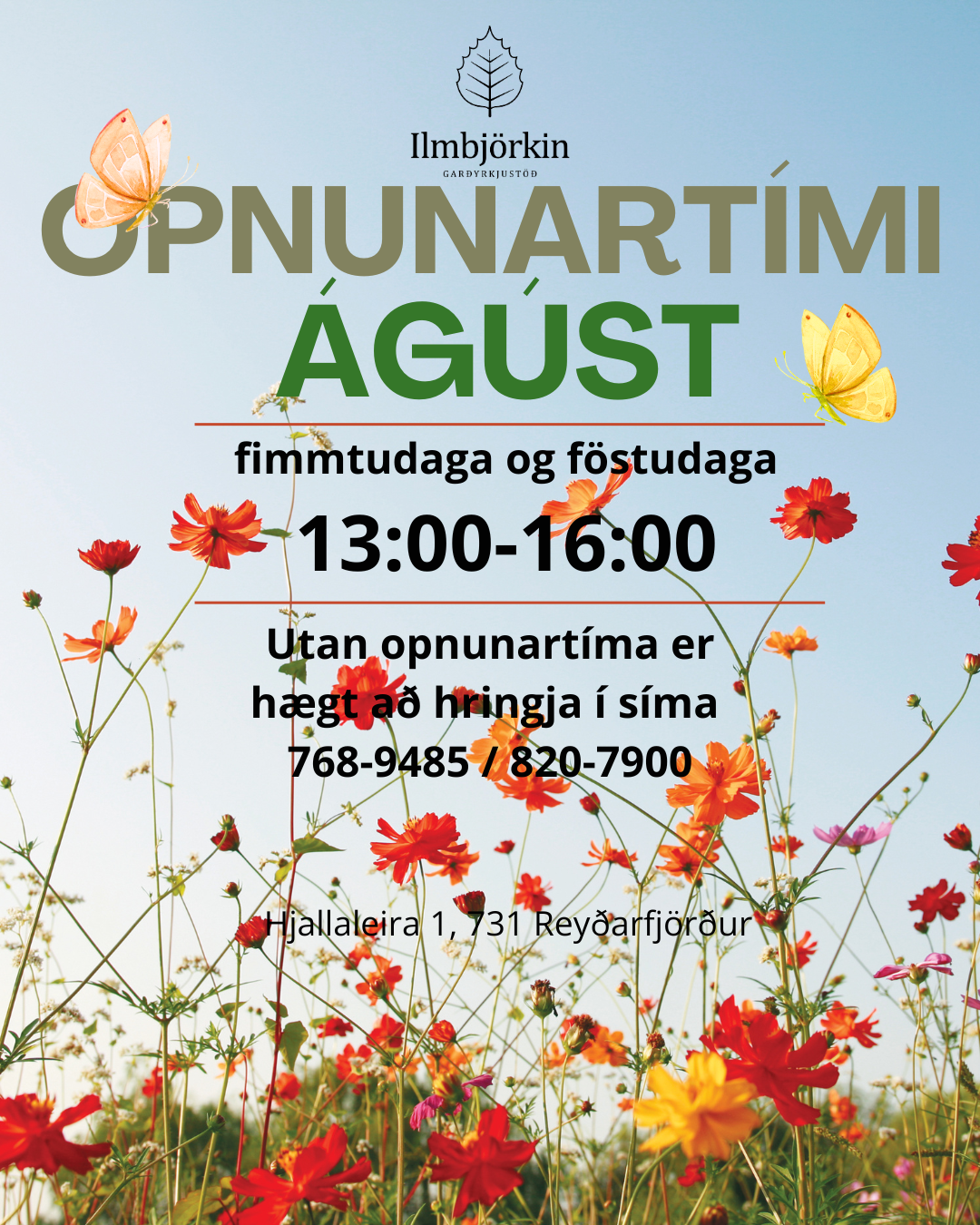 Opnunartími í ágúst