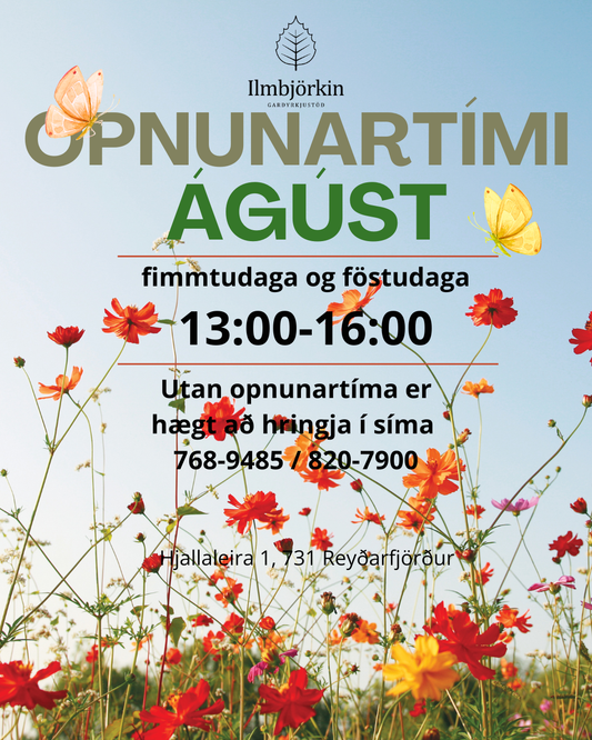 Opnunartími í ágúst