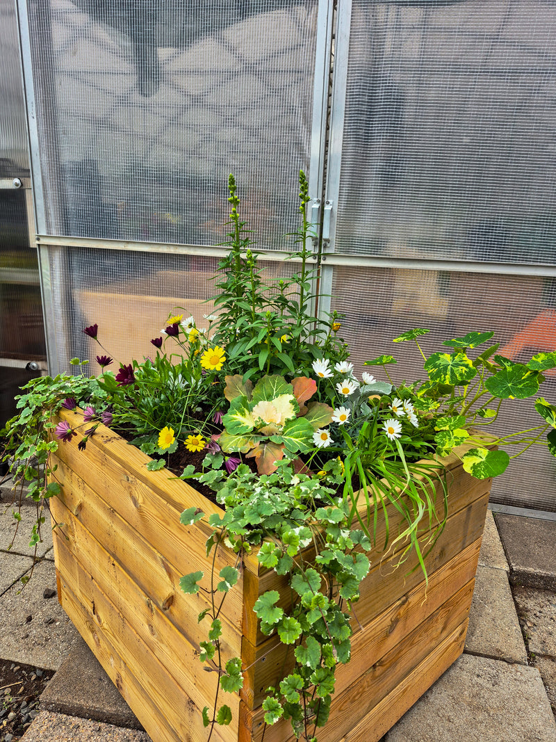 Blómaker í áskrift – Allt árið um kring