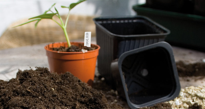 Plöntumerki 3 x 10stk