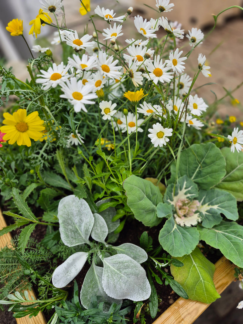 Blómaker í áskrift – Allt árið um kring